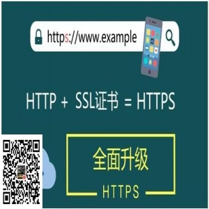 SSL（https）数字证书配置IIS教程