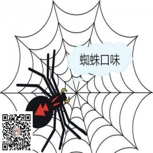 让你网站快速被蜘蛛抓取的十三个方法