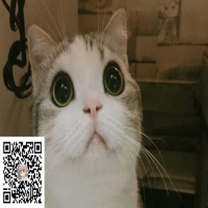 好的网站不在于帖子数量。。。