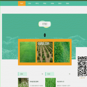 头部导航下拉跟随的效果实例CSS教程
