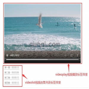 videolist 视频选集列表