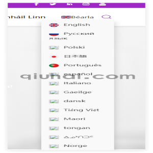 一个单独导航下拉的效果纯CSS