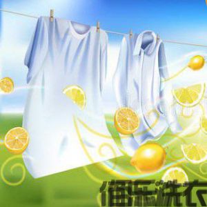 纺织服装的分类大全