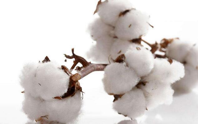 每天都穿的衣服，你知道她的面料有什么区别吗？