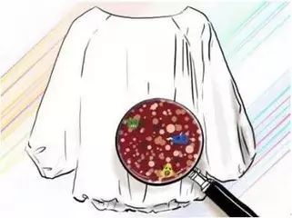 干洗的衣服有哪些？水洗的衣服又有哪些(图5)