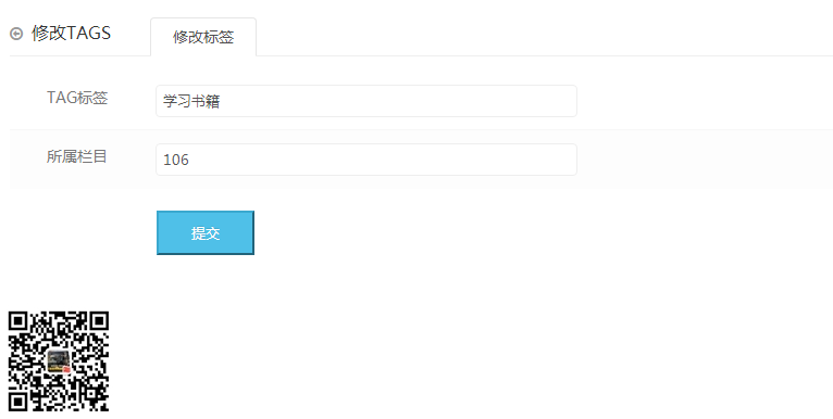 eyoucms后台TAGS标签二次高级管理(图4)
