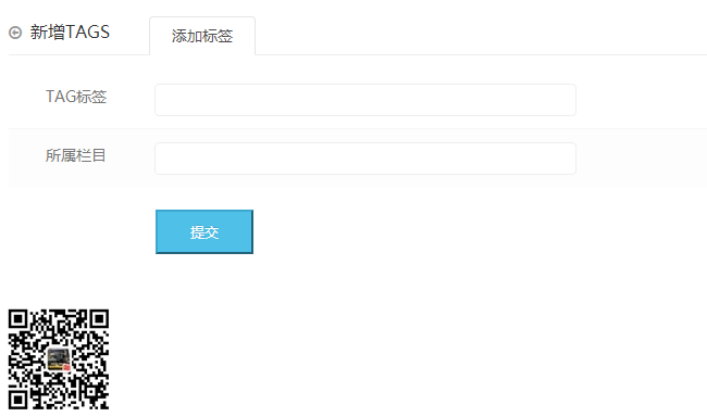 eyoucms后台TAGS标签二次高级管理(图6)