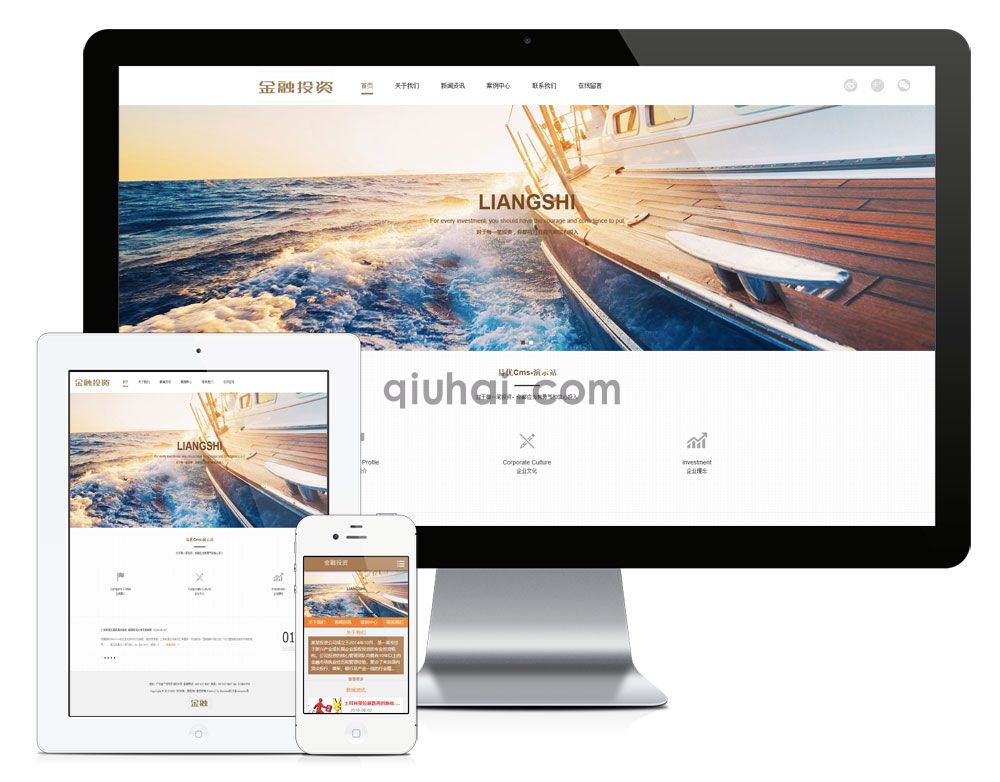 易优金融股权投资类企业网站模板【编号704】(图1)