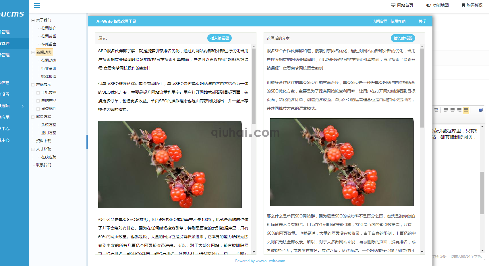 易优ai-write智能改写插件【eyoucms工具】(图1)